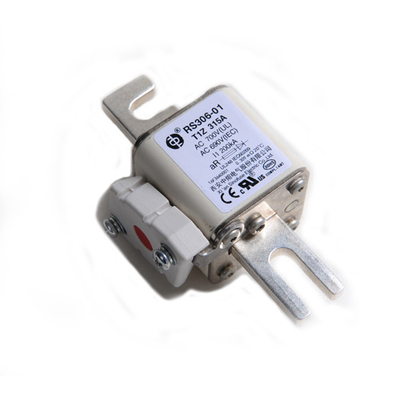 Raylı Transit Elektrikli Araçlar Gemi Elektriği Seramik Oto Sigortaları RS306 690V