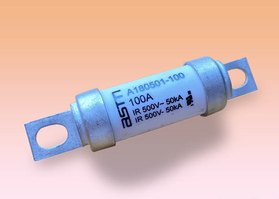 Elektronik İçin Hızlı Oyunculuk 100 Amp Araba Sigortası 500v Ac Voltaj Beyaz Renk