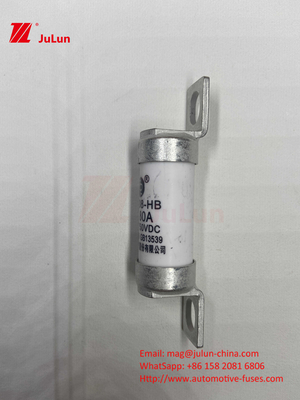 63A RS308 HB Sigorta Boltlı Montaj 80A 10A 15A 40A Sigorta Montajı İçin Otomobil Seramik Sigortalar