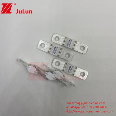 ASTM 300A 125VDC Elektrikli Araç Koruması için Bolt vida sigortası A121601