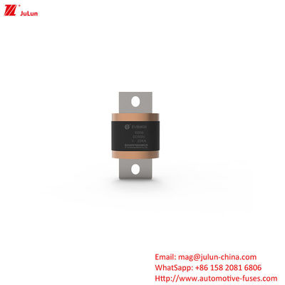 EV8-MKM 450A-1000A DC500V Elektrikli Araç Terminalleri için Kutulu Güvenlik Sigortaları