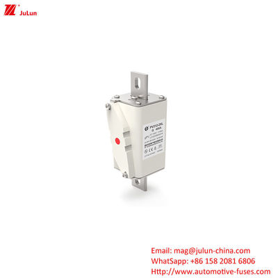 En yüksek giriş akımı 400A DC olan panel montu TUV CE
