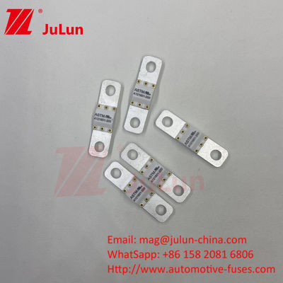 ASTM FUSE 121601 80A 125VDC Elektrikli araba sigortası