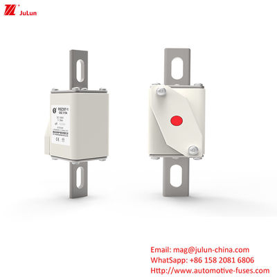 DC1000V 315A EV Şarj Adaptörü Elektrik Gücü Sistemi için Sigortalar Terminalı