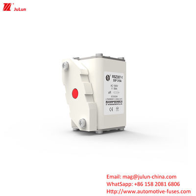 315A AC1000V Taşınabilir EV Şarj Araç Sigortaları Yüksek Kırma Kapasitesi
