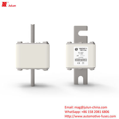 RSZ307-1-TMZ Elektrik Gücü DC Araba Şarj Adaptörü Sigortalar Üzerinde Boltlu Enerji Depolama Endüstrisi Uygulamalar