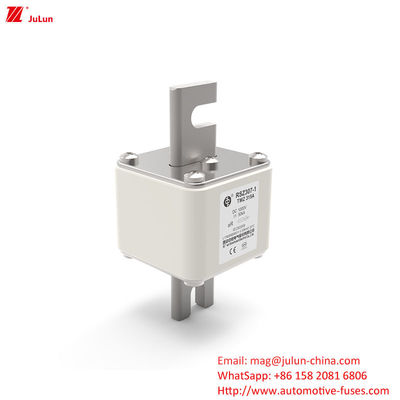 RSZ307 200A-450A DC250V elektrikli araç sigortası