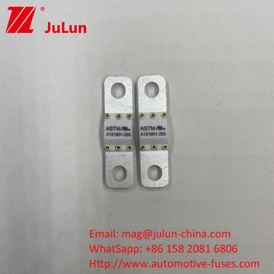 A121601-80A ASTM 125VDC 50A-100A Elektrikli Araçlar Pil Enerji Depolama Sigortaları