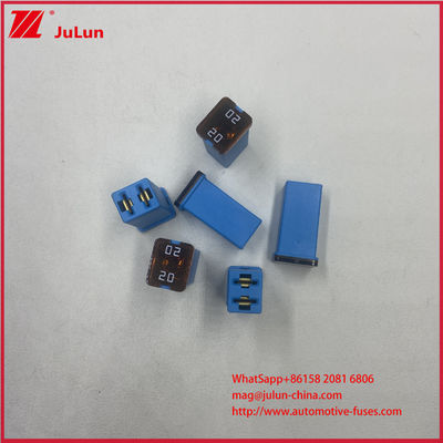 20A 32V Terminalleri Kadın kare fişler Blade Fuses Link Araba Aracı 0495020