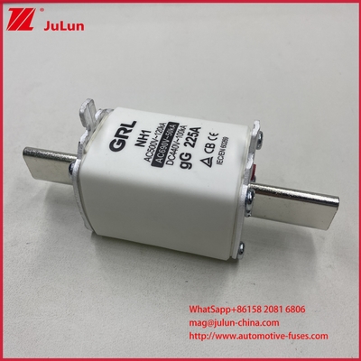 NH000 NT000 300A 225A 500V 120kA Yüksek Kesme Kapasiteli Sigorta Bıçağı GG-gL Bıçağı ile